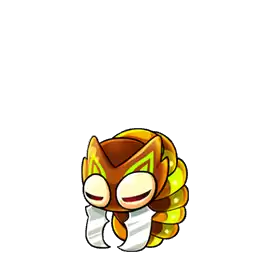 Cuttercoon