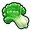 Jade Lettuce