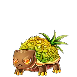 Tortoise